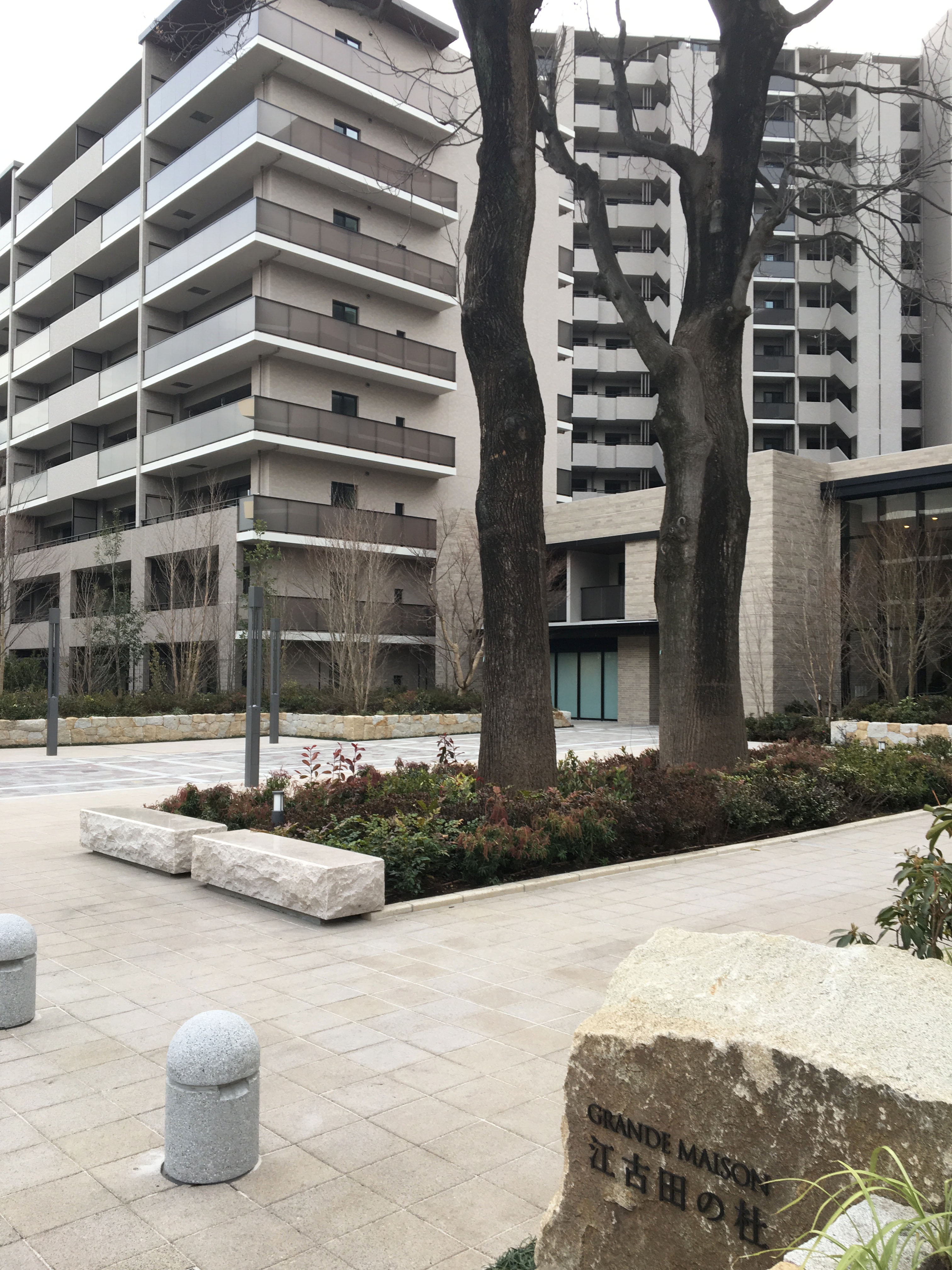 グランドメゾン江古田の杜6.JPG
