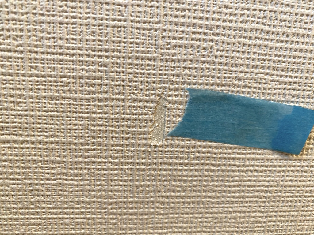 62EE974D-A8E5-4A16-974C-A9FC93351482.jpeg