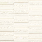 ECP-303/ARE1N