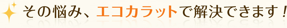 その悩み、エコカラットで解決できます！