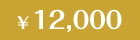 12,000円