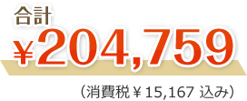 合計204,759円（消費税15,167円込み）